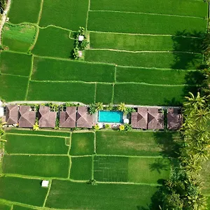 Hotel Pajar House & ***